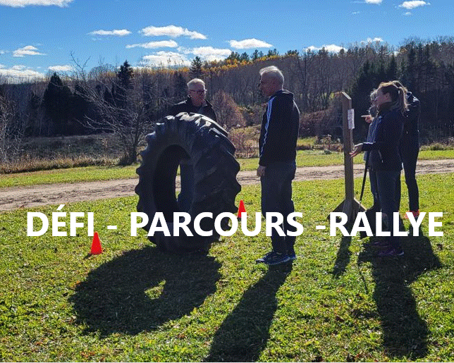 Rallye aventure et découvertes